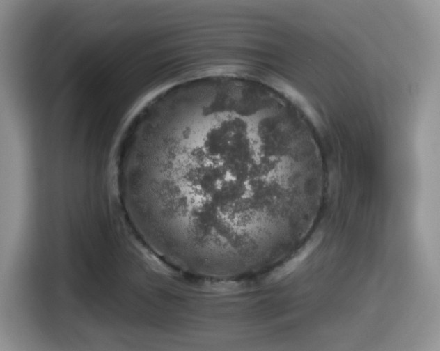 X0000116001019200911251056