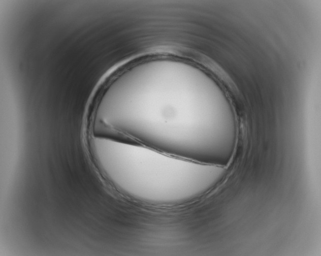 X0000116001020200911251056