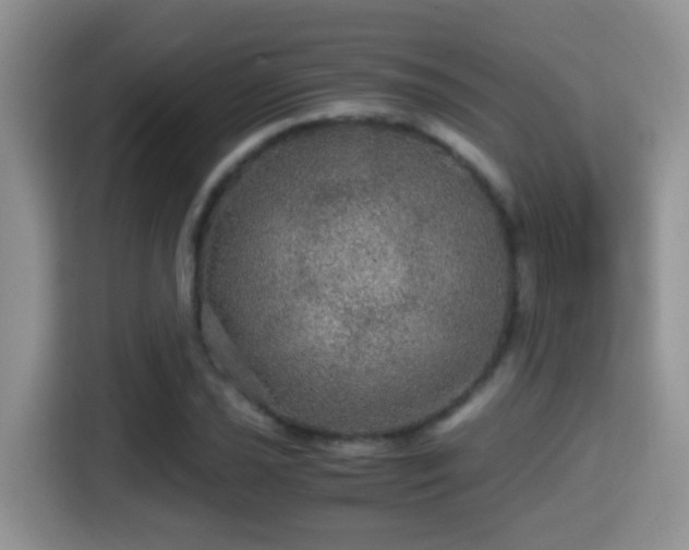 X0000116001021200911251056