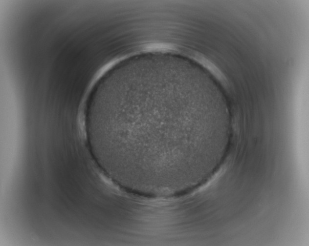 X0000116001022200911251056