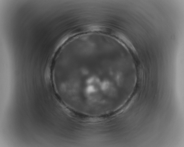 X0000116001023200911251056