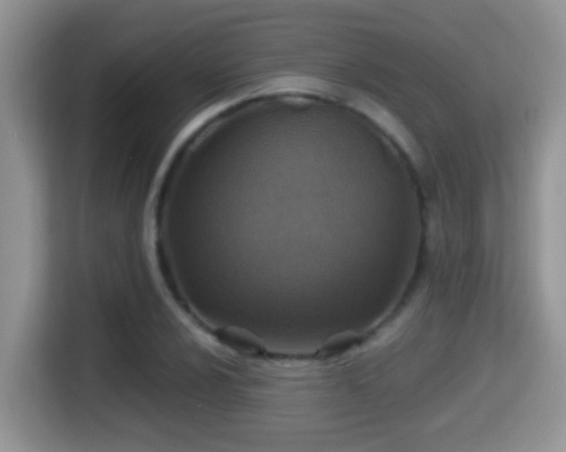 X0000116001024200911251056