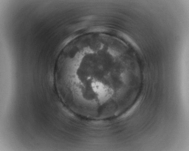 X0000116001025200911251056