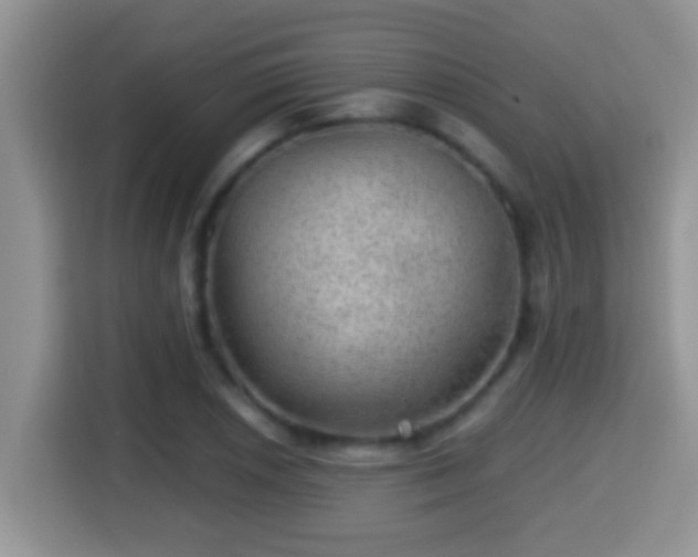 X0000116001026200911251056