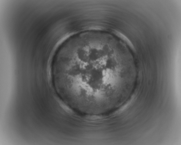 X0000116001027200911251056