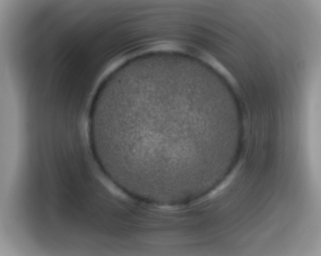 X0000116001029200911251056