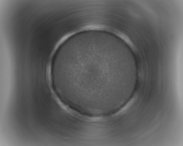 X0000116001030200911251056