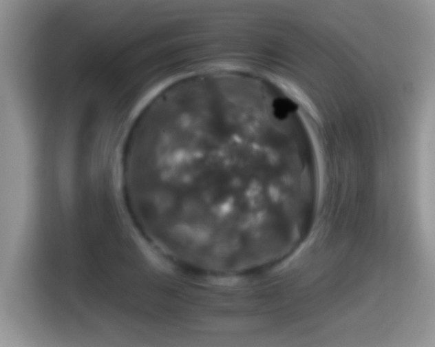 X0000116001031200911251056