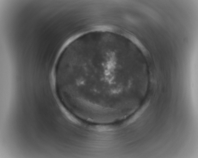 X0000116001032200911251056