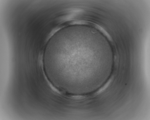 X0000116001033200911251056