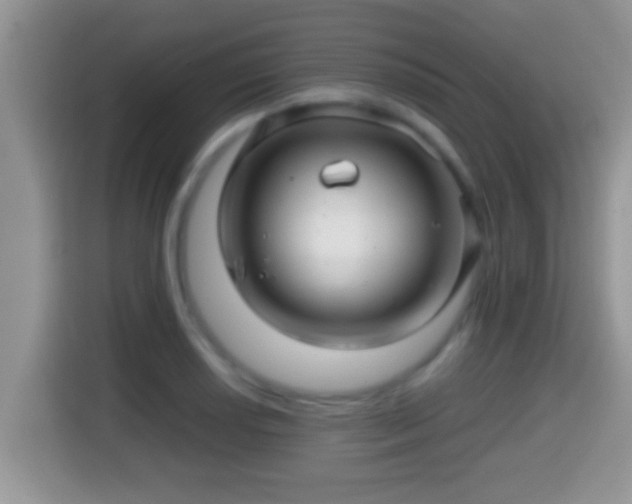 X0000116001034200911251056