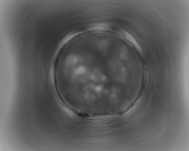 X0000116001035200911251056