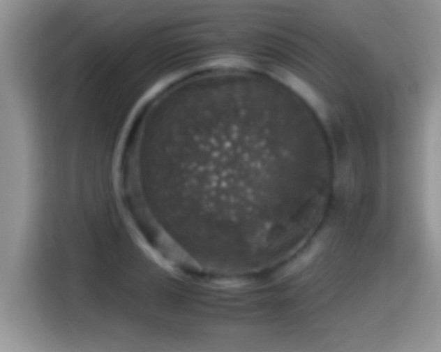 X0000116001037200911251056