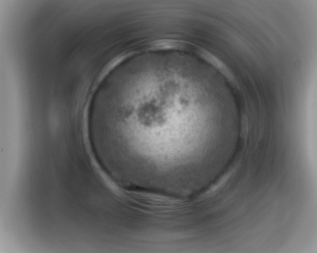 X0000116001039200911251056