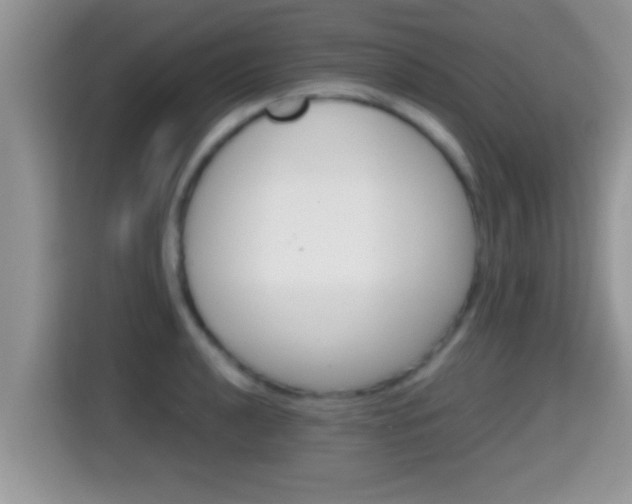 X0000116001040200911251056