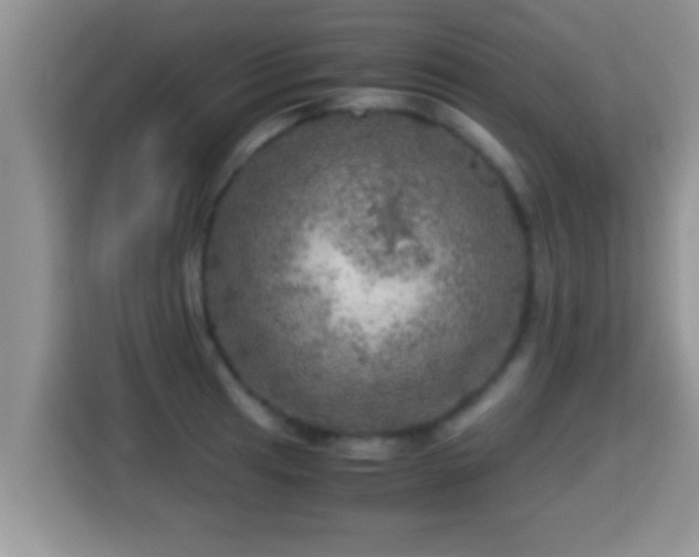 X0000116001041200911251056