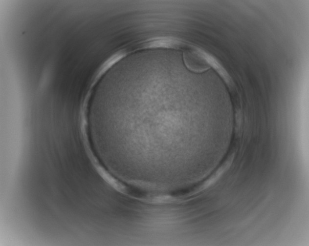 X0000116001042200911251056