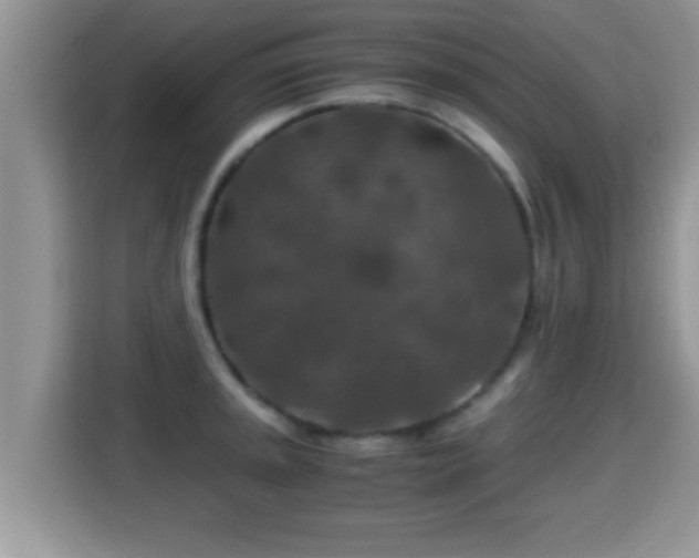 X0000116001045200911251056