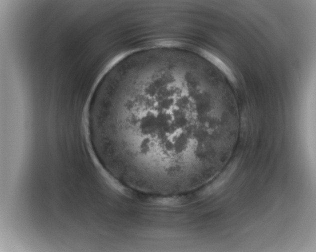 X0000116001047200911251056