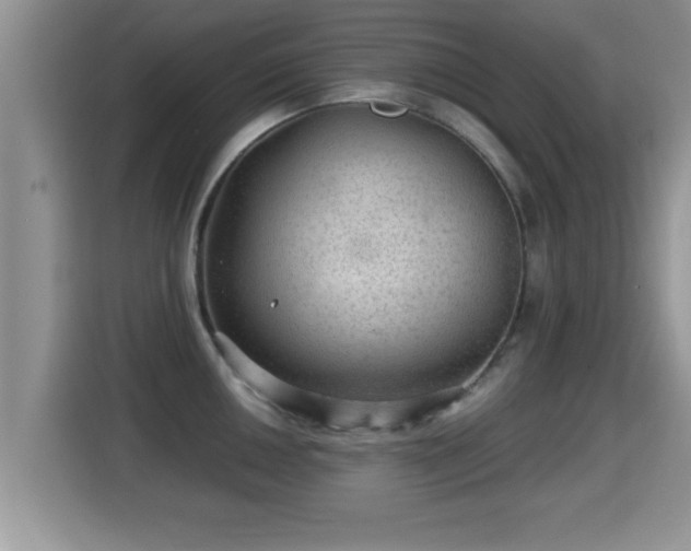 X0000116001050200911251056