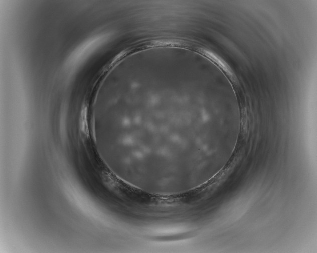 X0000116001055200911251056