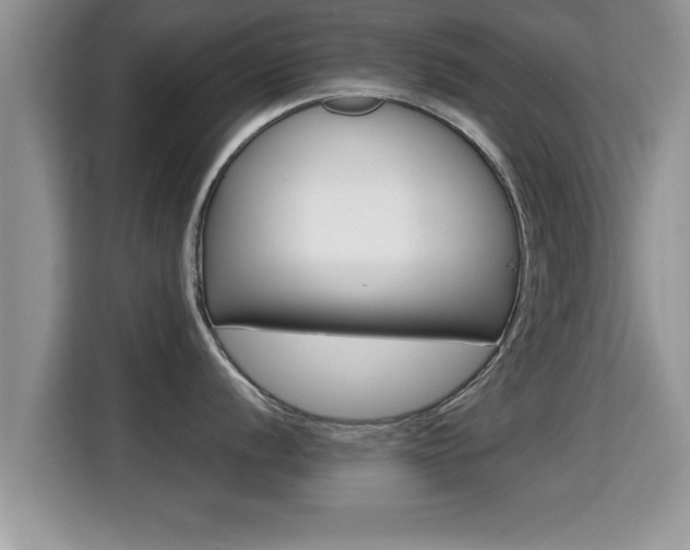 X0000116001056200911251056