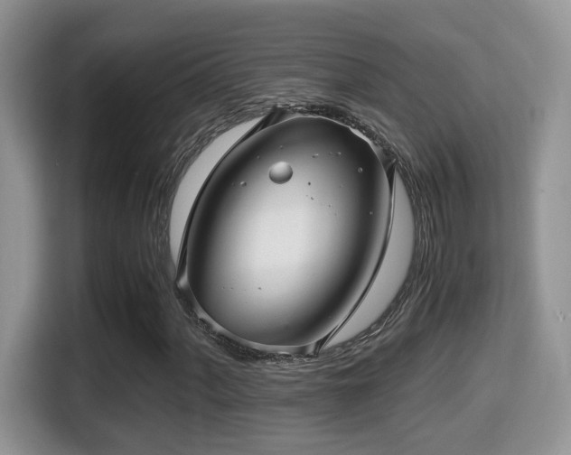 X0000116001060200911251055