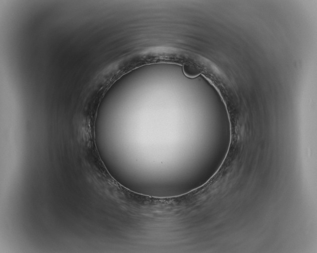 X0000116001062200911251055