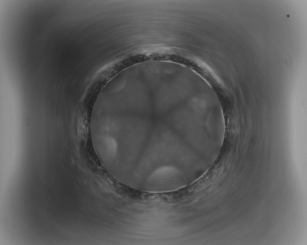 X0000116001063200911251055