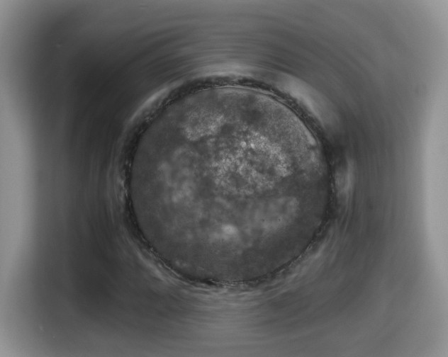 X0000116001064200911251055