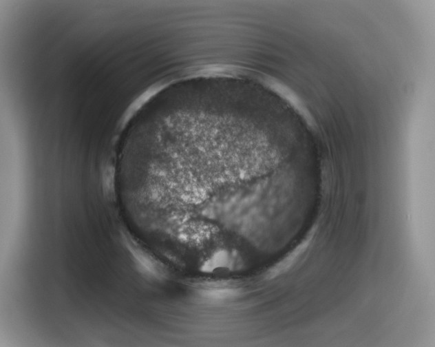 X0000116001066200911251055