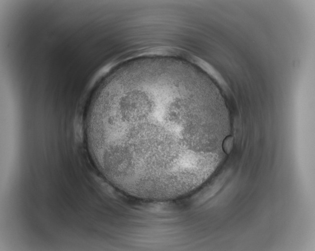 X0000116001067200911251055