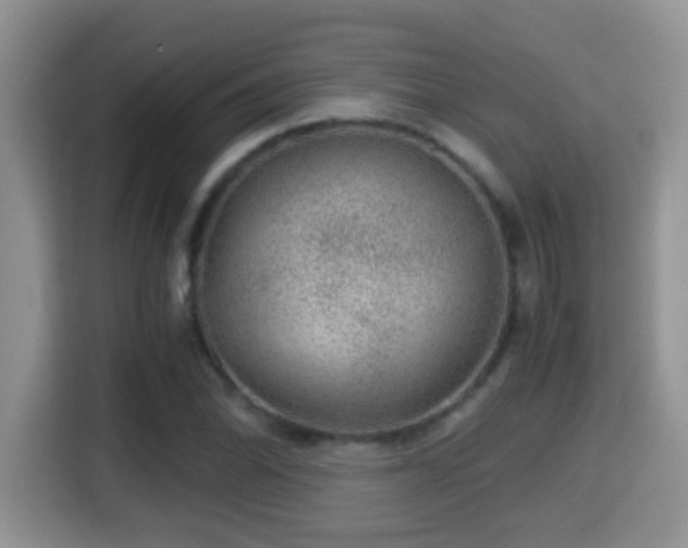 X0000116001070200911251055