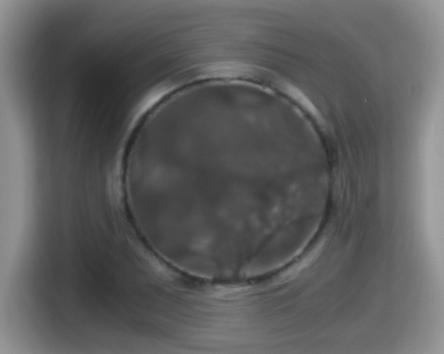 X0000116001071200911251055