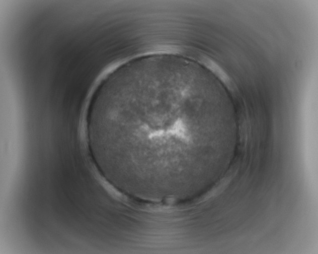 X0000116001072200911251055