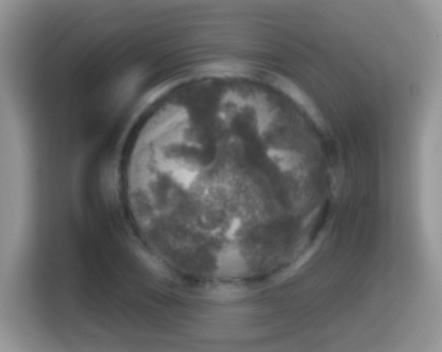 X0000116001074200911251055