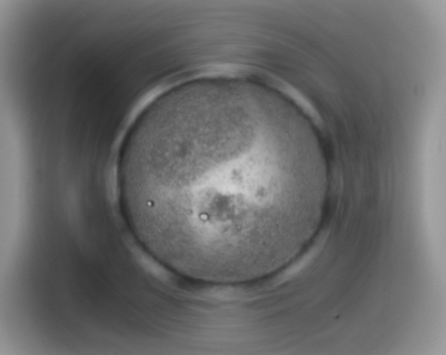 X0000116001075200911251055