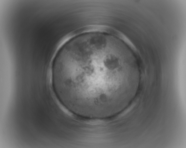 X0000116001079200911251055