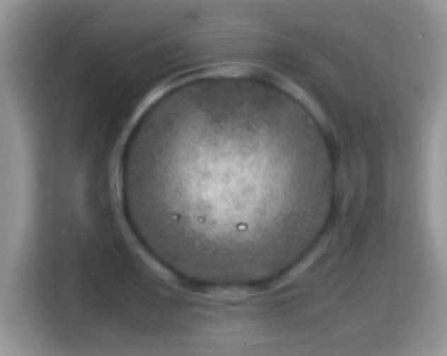 X0000116001083200911251055