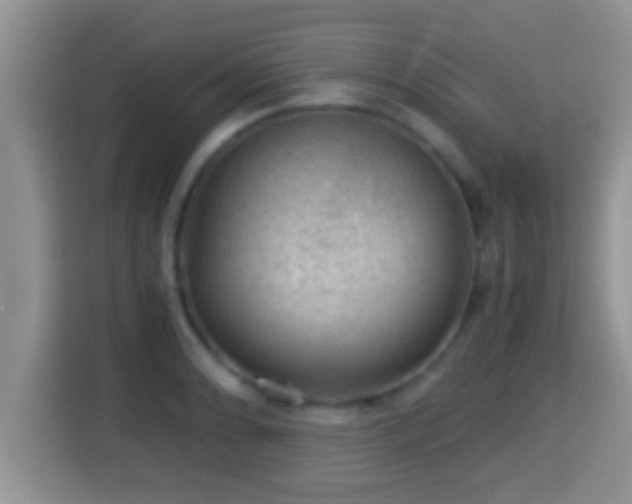 X0000116001086200911251055