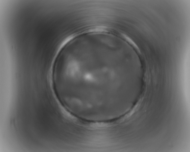 X0000116001087200911251055