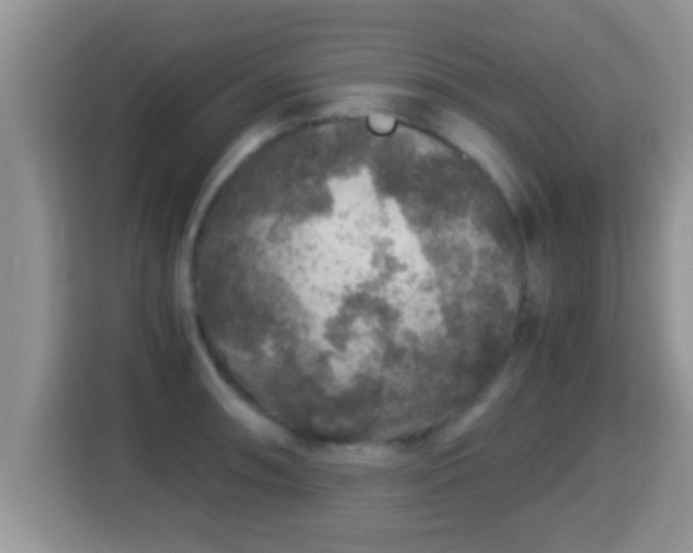 X0000116001090200911251055