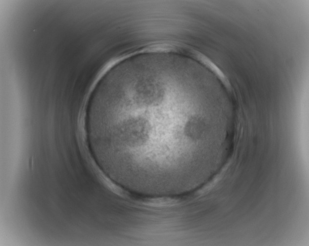 X0000116001091200911251055