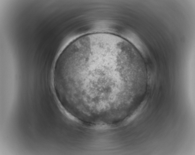 X0000116001094200911251055