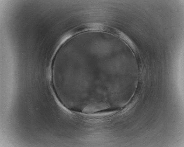 X0000116001095200911251055