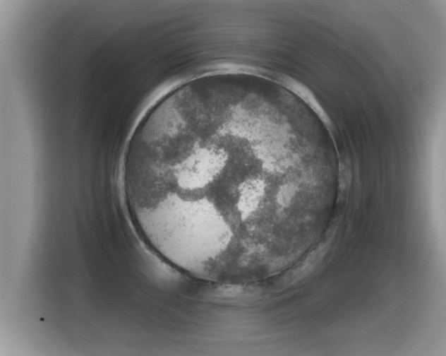 X0000116001098200911251055