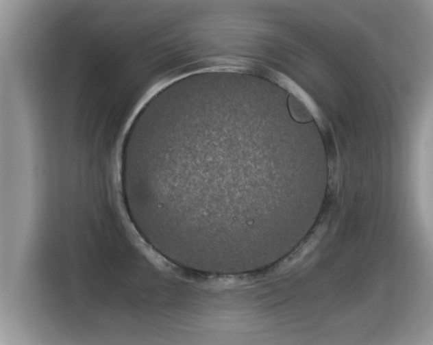 X0000116001099200911251055