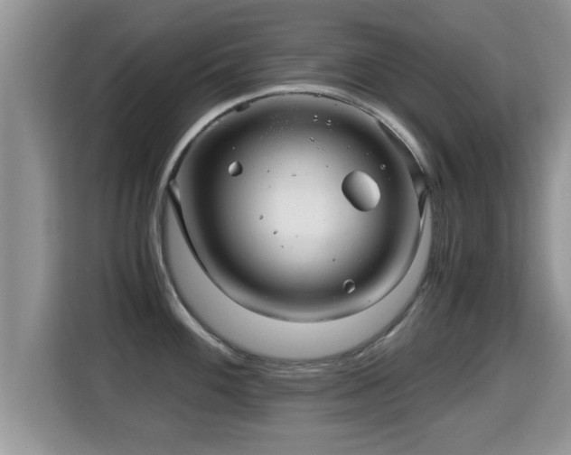 X0000116001100200911251055