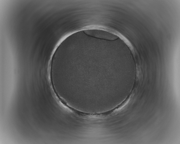 X0000116001102200911251055