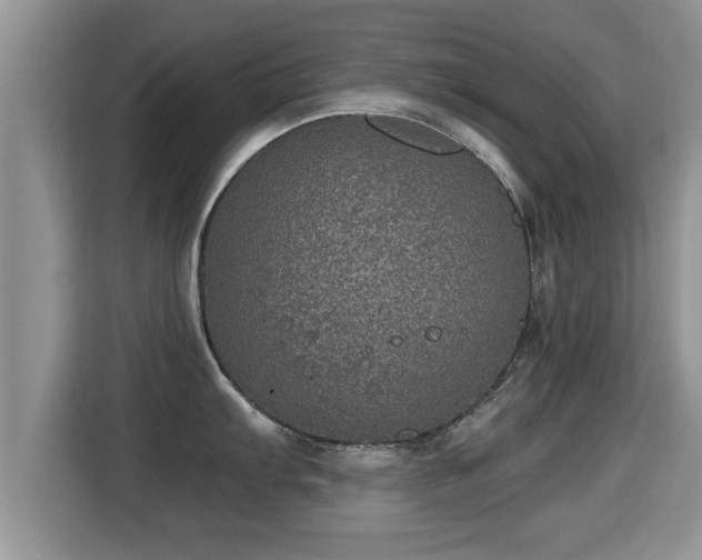 X0000116001103200911251055